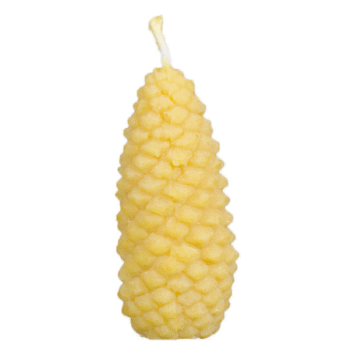 Vaska svece- čiekurs