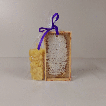 Šūnu medus_svece saulespuķe_ dāvanu komplekts