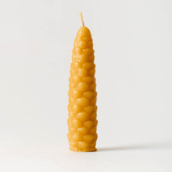 Vaska svece Lielais čiekurs