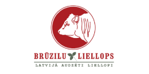 bruzil-lielops-portfolio